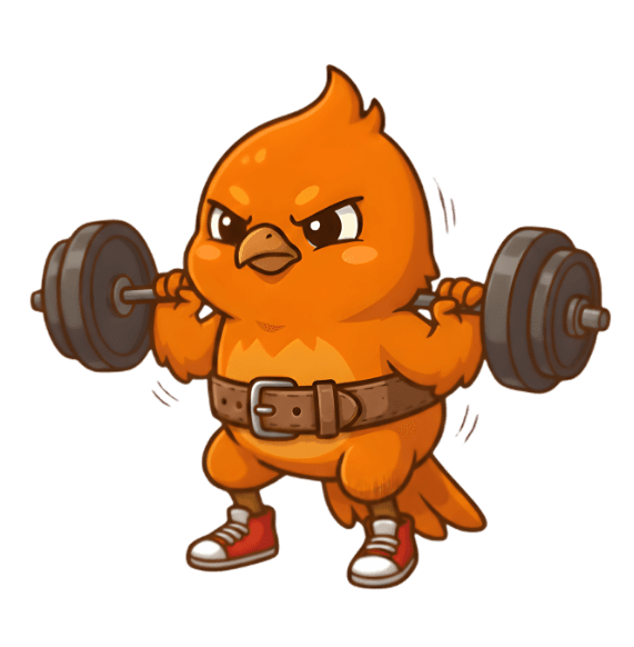 Barbell squat exercise — building your own workout plan